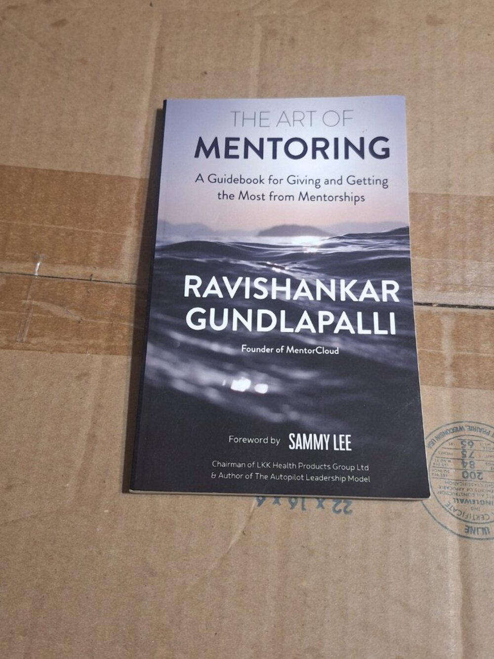 The Art of Mentoring